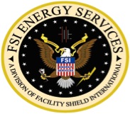FSI Logo